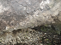 otta Comune-10042012 002